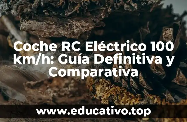 Coche RC Eléctrico 100 km/h: Guía Definitiva y Comparativa
