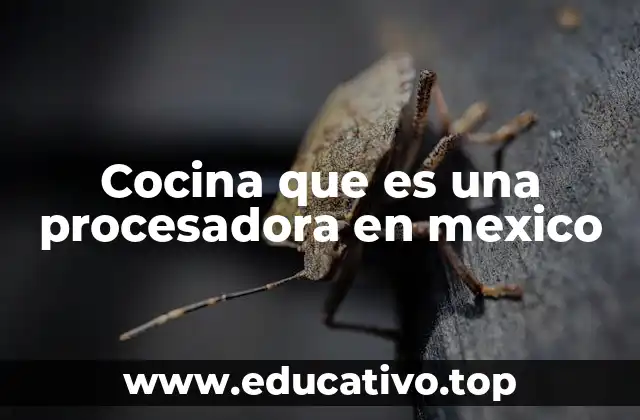 Cocina que es una procesadora en mexico