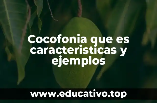 Cocofonia que es caracteristicas y ejemplos