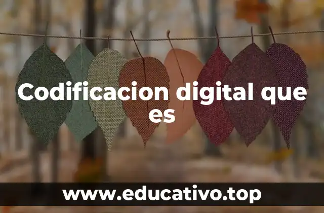 Codificacion digital que es