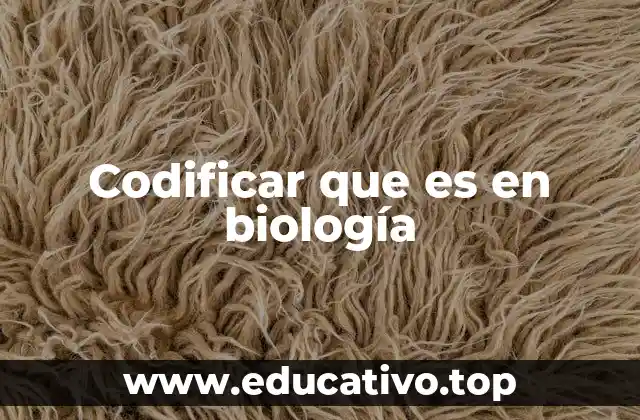 Codificar que es en biología