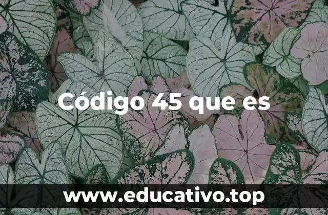 Código 45 que es