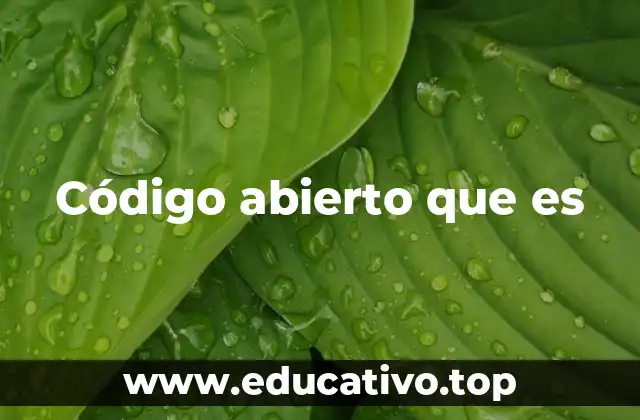 Código abierto que es