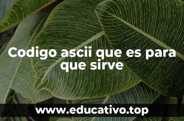 Codigo ascii que es para que sirve