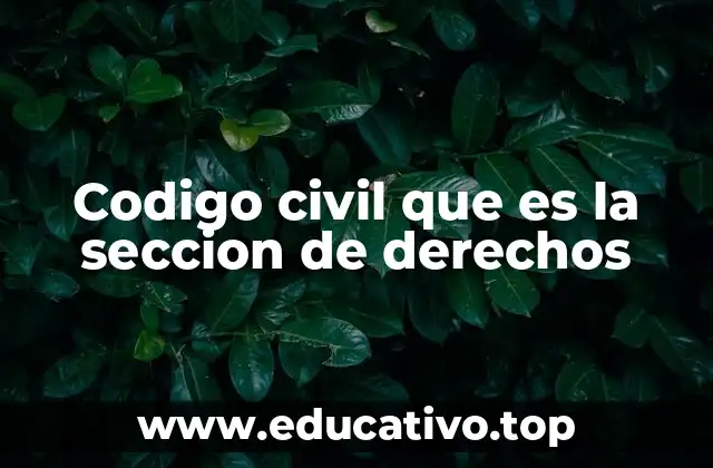 Codigo civil que es la seccion de derechos