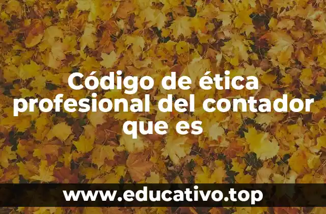 Código de ética profesional del contador que es