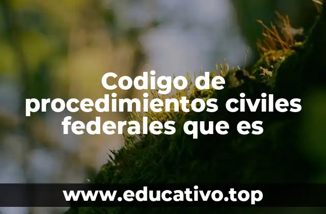 Codigo de procedimientos civiles federales que es