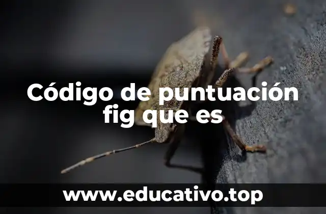 Código de puntuación fig que es