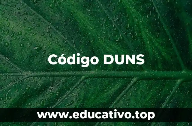 Código DUNS