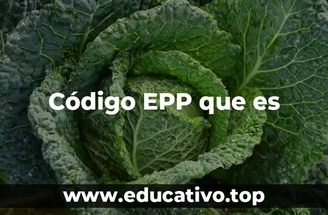 Código EPP que es
