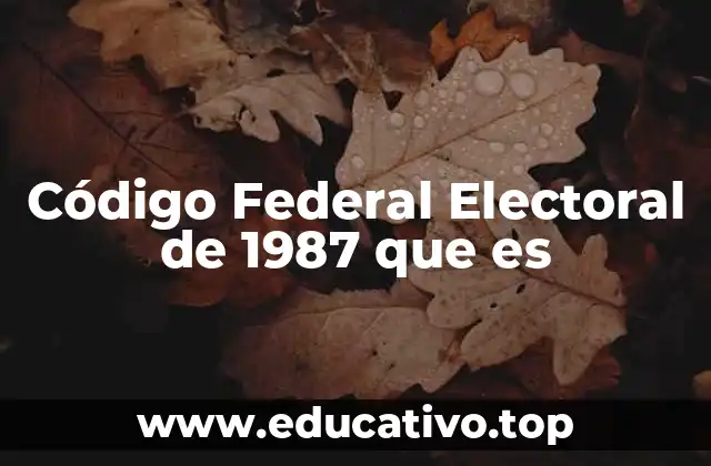 Código Federal Electoral de 1987 que es