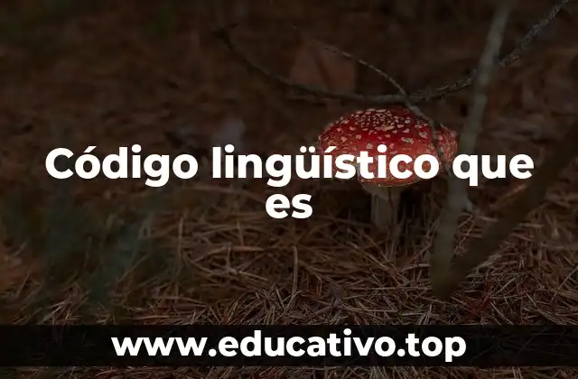 Código lingüístico que es