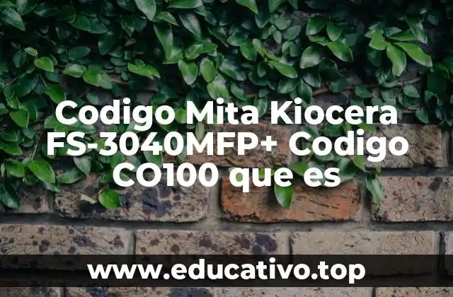 Codigo Mita Kiocera FS-3040MFP+ Codigo CO100 que es