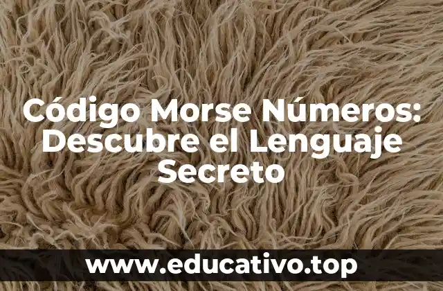 Código Morse Números: Descubre el Lenguaje Secreto