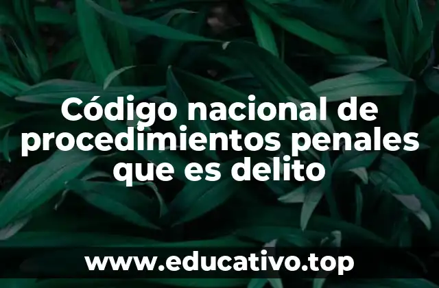 Código nacional de procedimientos penales que es delito