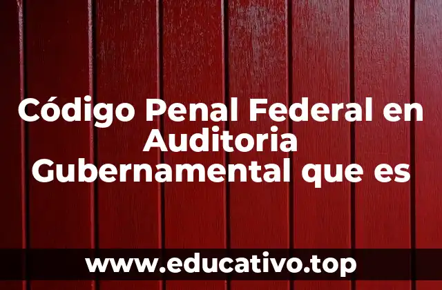 Código Penal Federal en Auditoria Gubernamental que es