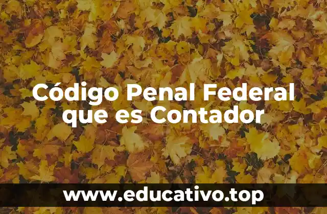 Código Penal Federal que es Contador