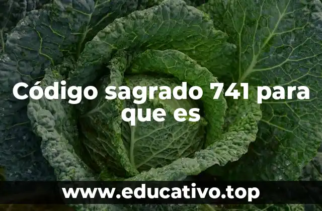 Código sagrado 741 para que es
