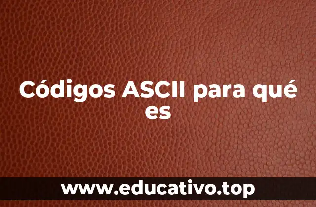 Cómo los códigos ASCII facilitan la comunicación digital