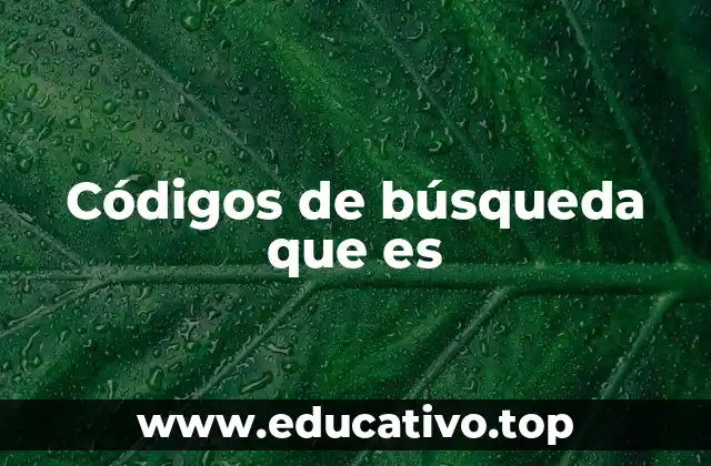 Códigos de búsqueda que es