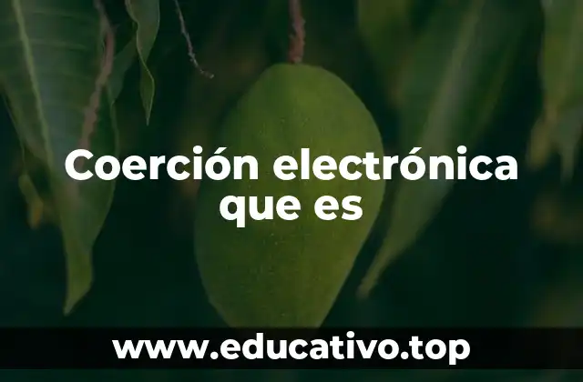 Coerción electrónica que es