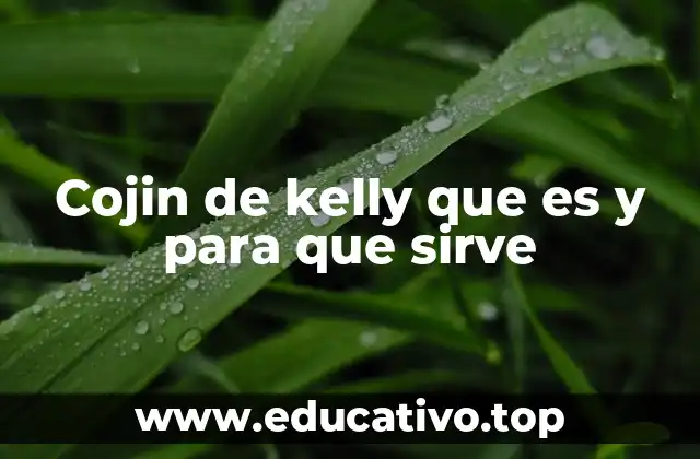 Cojin de kelly que es y para que sirve