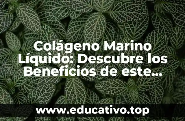 Colágeno Marino Líquido: Descubre los Beneficios de este Suplemento Natural