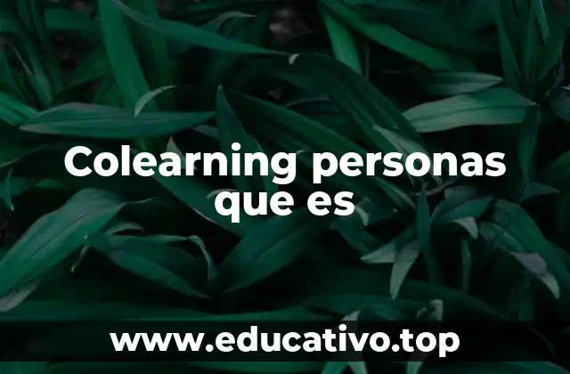 Colearning personas que es