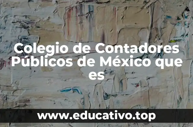 Colegio de Contadores Públicos de México que es