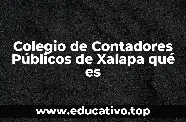El papel del Colegio en la comunidad contable de Xalapa