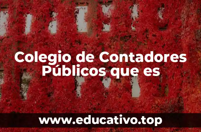 Colegio de Contadores Públicos que es