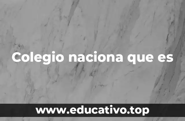 Colegio naciona que es
