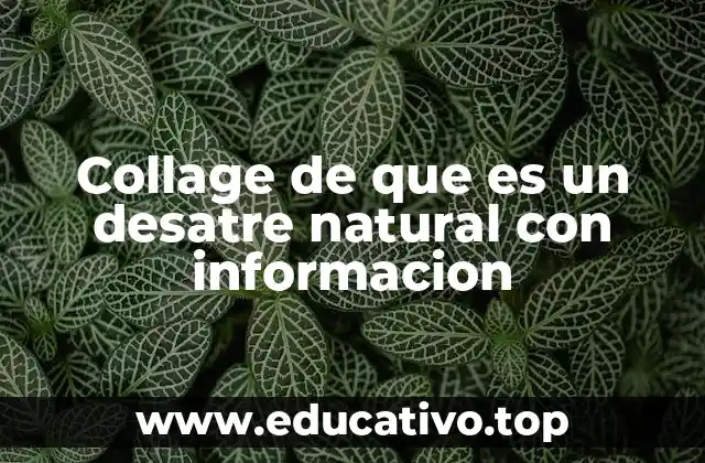 Collage de que es un desatre natural con informacion