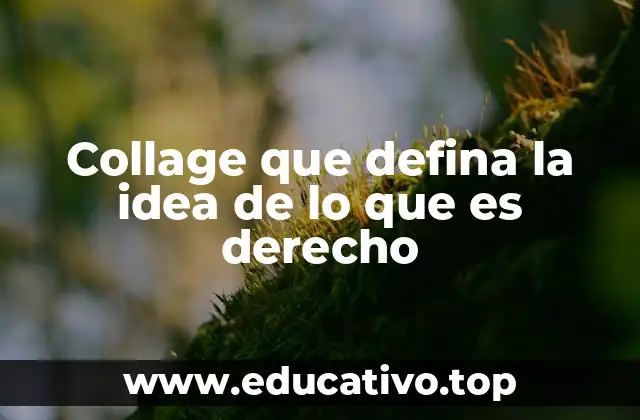 Collage que defina la idea de lo que es derecho