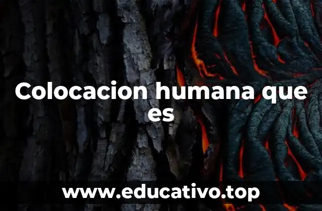 Colocacion humana que es