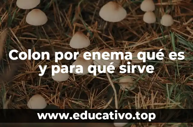 Colon por enema qué es y para qué sirve