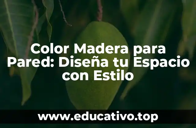 Color Madera para Pared: Diseña tu Espacio con Estilo