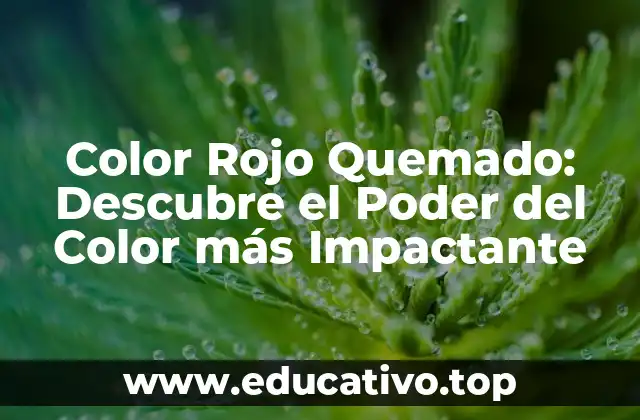 Color Rojo Quemado: Descubre el Poder del Color más Impactante