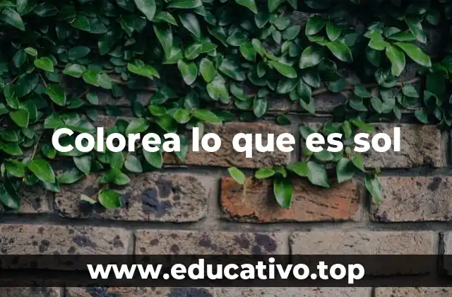 Colorea lo que es sol