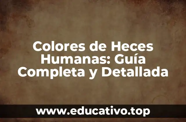 Colores de Heces Humanas: Guía Completa y Detallada