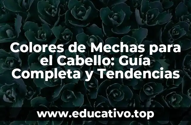 Colores de Mechas para el Cabello: Guía Completa y Tendencias