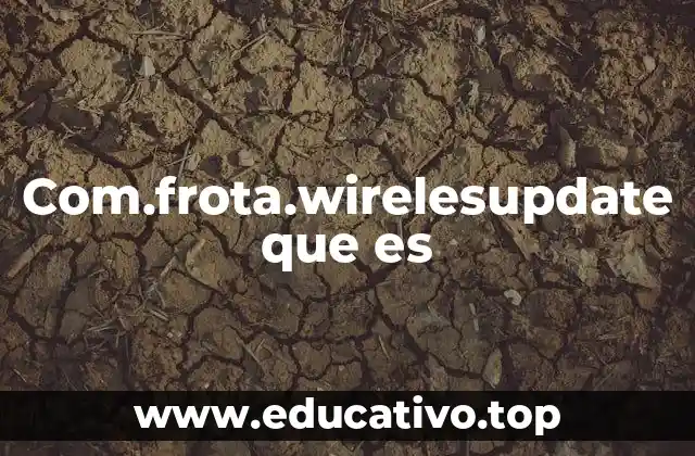 Com.frota.wirelesupdate que es