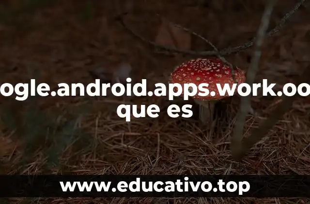 Funciones y contextos donde aparece com.google.android.apps.work.oobconfig