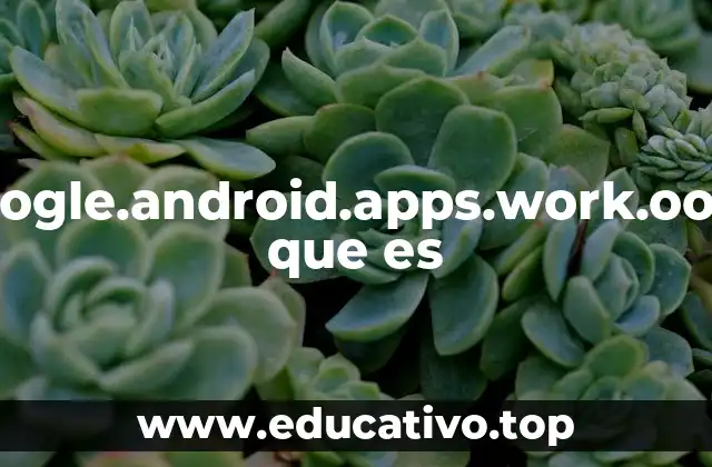 Com.google.android.apps.work.oobconfig que es