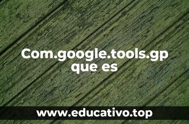 Contextos en los que puede aparecer com.google.tools.gp