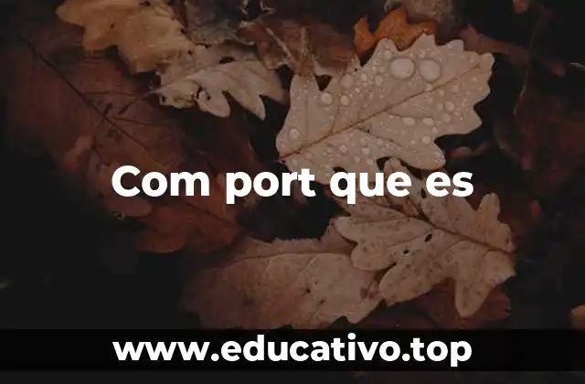 La importancia de los puertos de comunicación en la interconexión de dispositivos