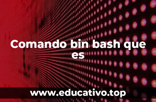 Comando bin bash que es