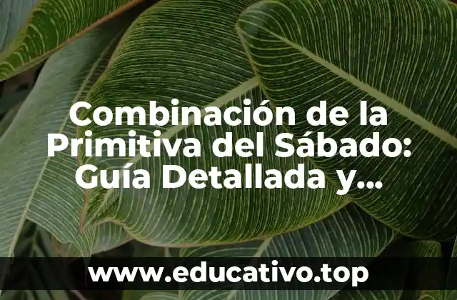 Combinación de la Primitiva del Sábado: Guía Detallada y Actualizada