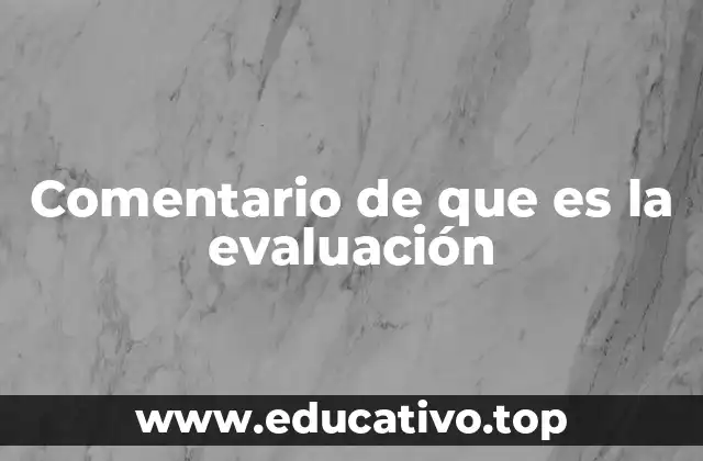 Comentario de que es la evaluación