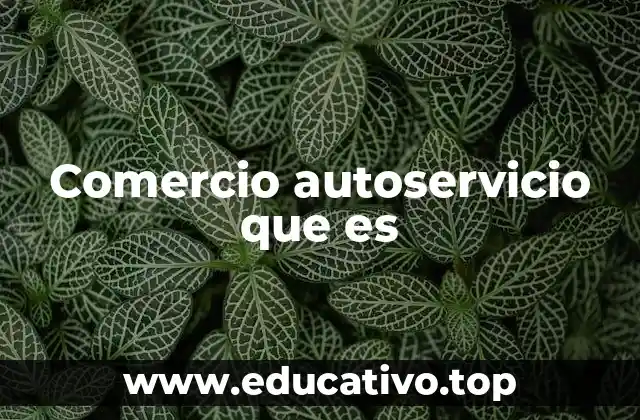 Comercio autoservicio que es